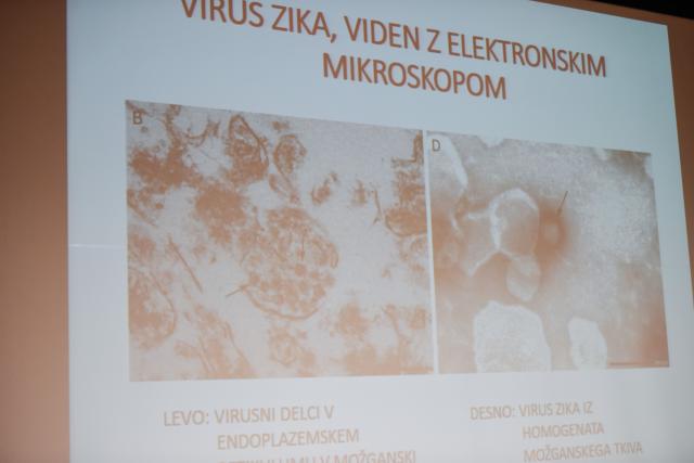 Vakcina protiv zika virusa stiže za najmanje 18 meseci